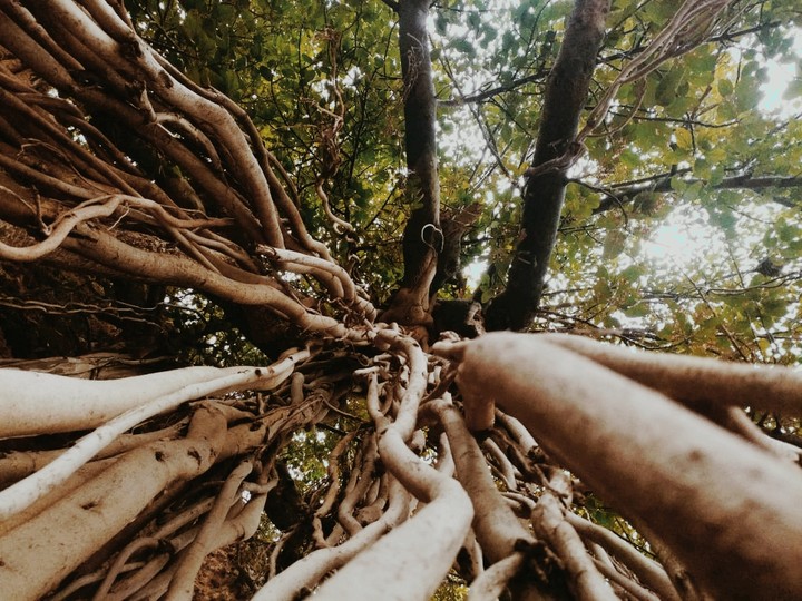 nature is magnificent