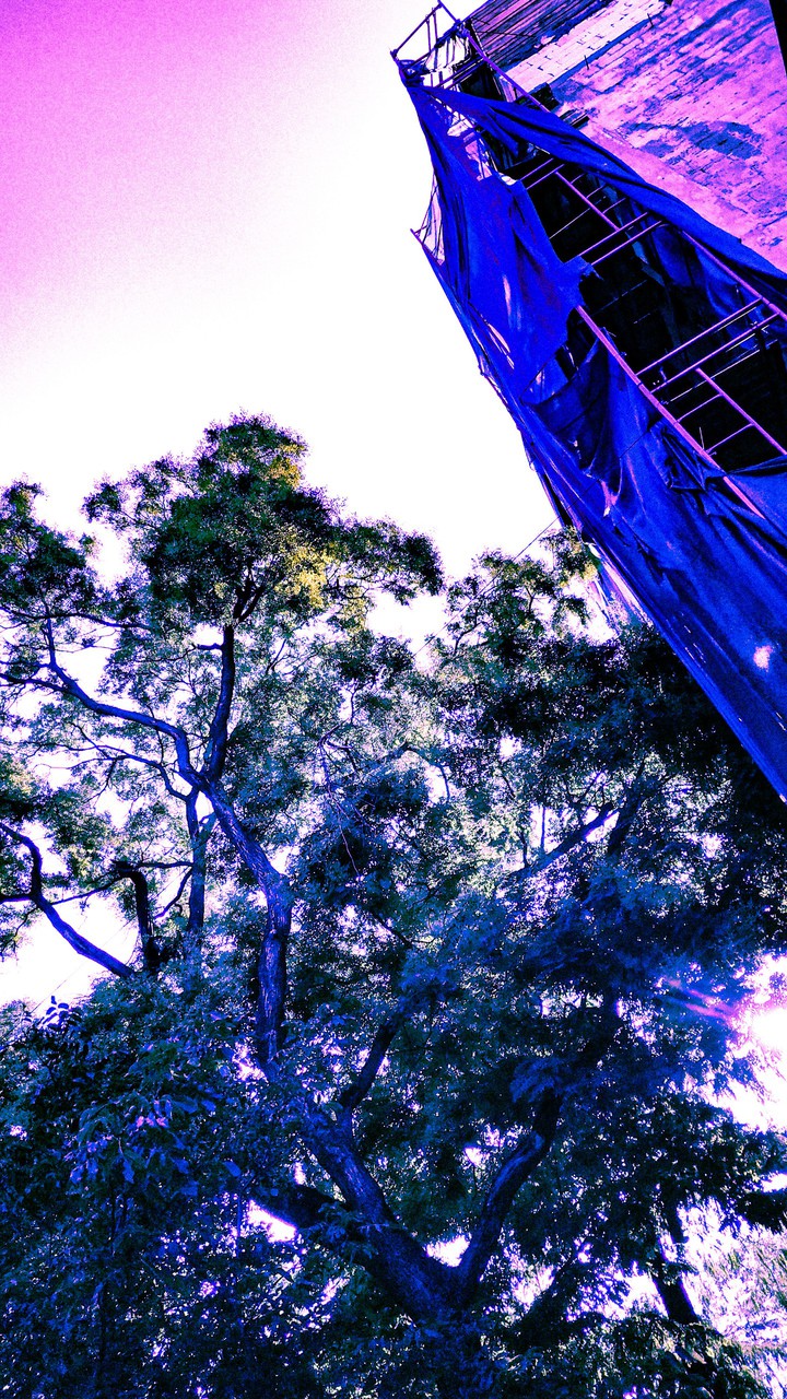 2020_07_24