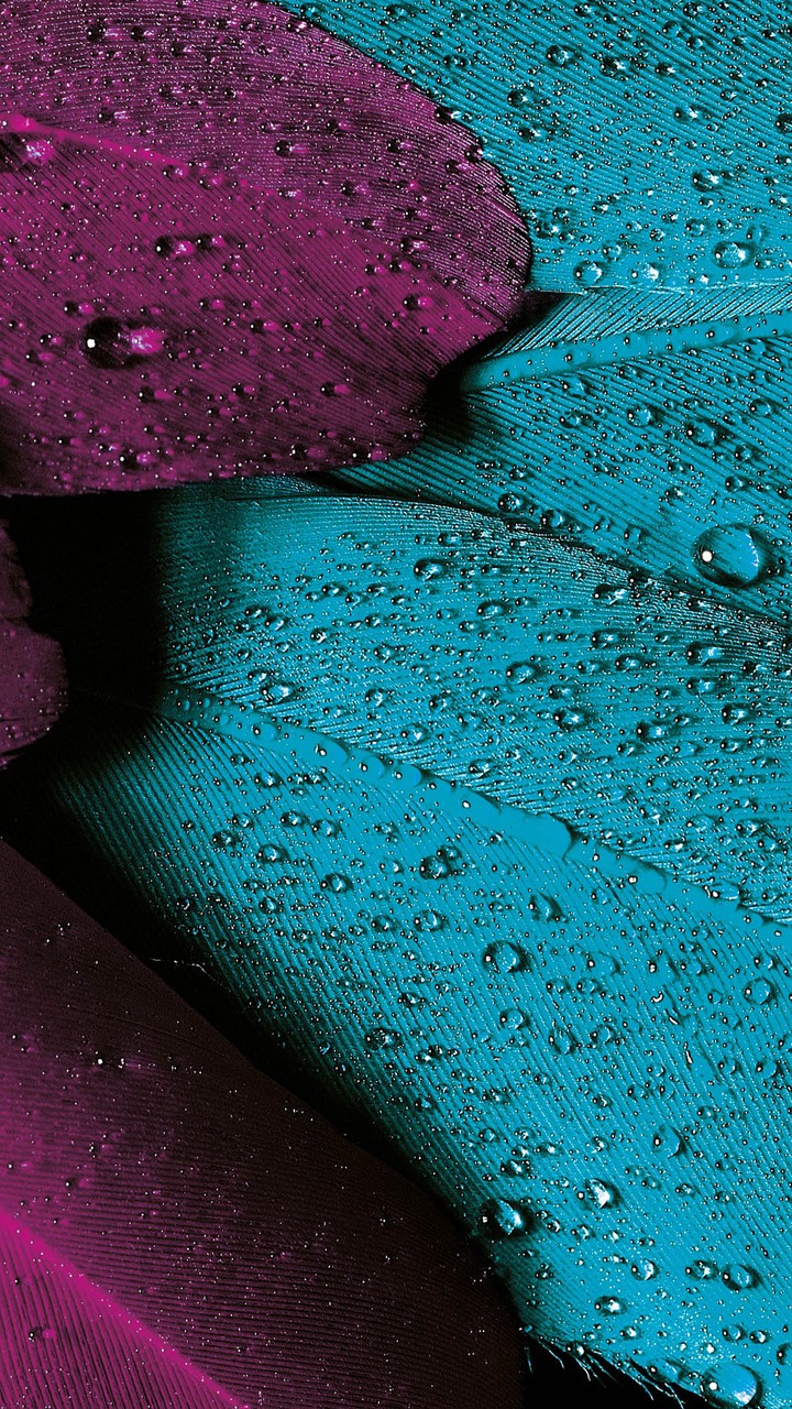 drops