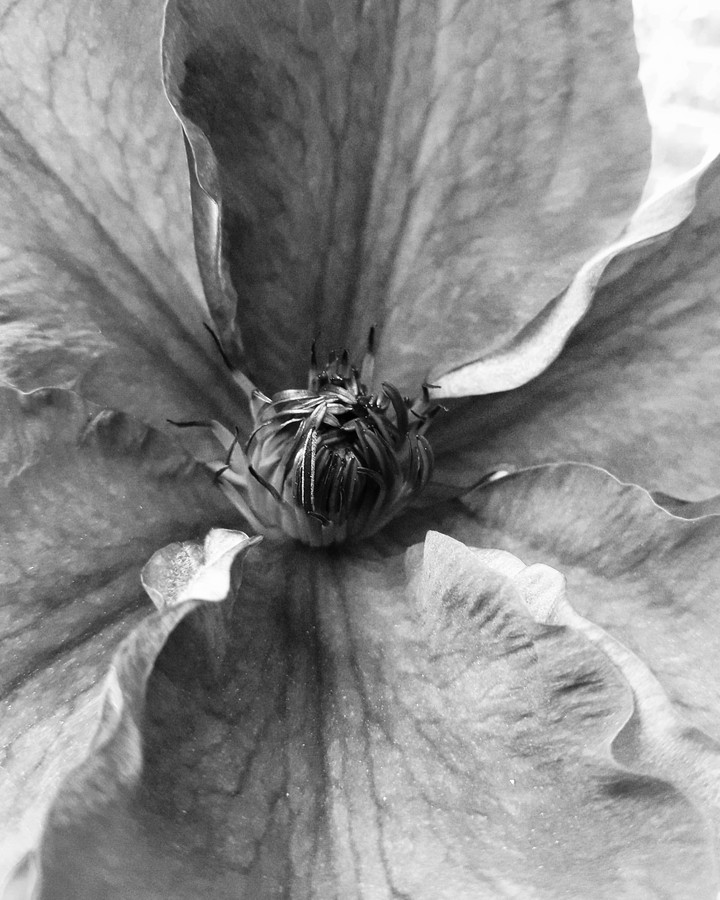 black&white