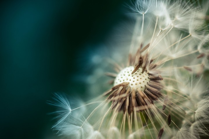 beautiful