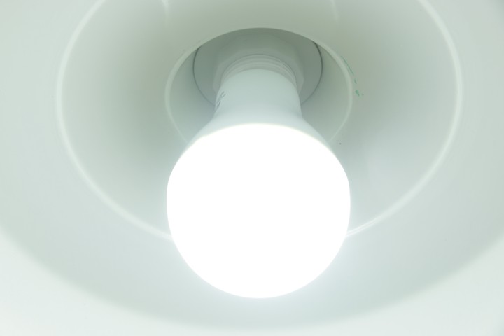 Light Bulb