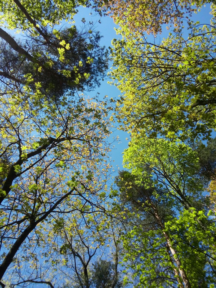 Happy spring