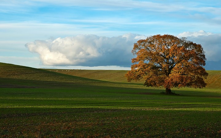 Autumn
