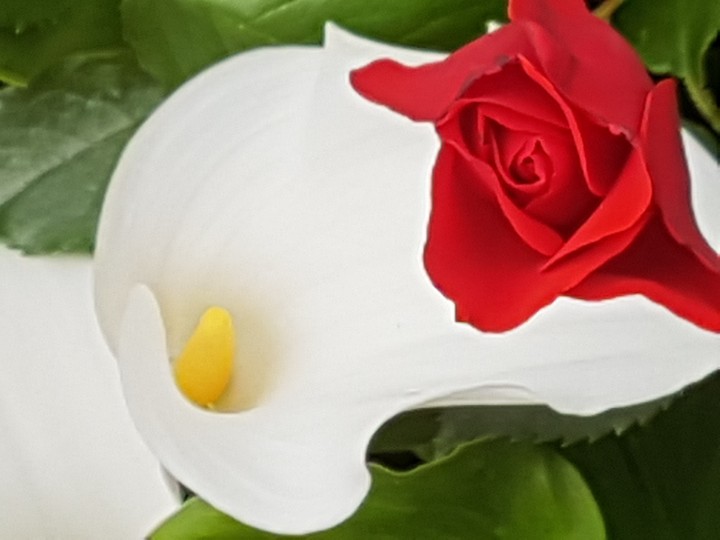 rouge et blanc