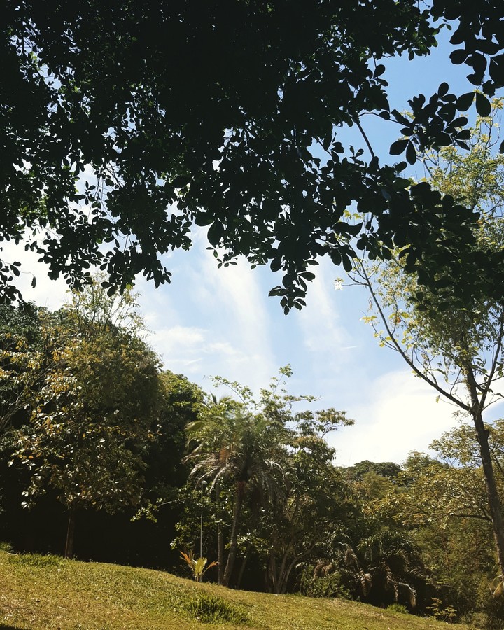 Natureza