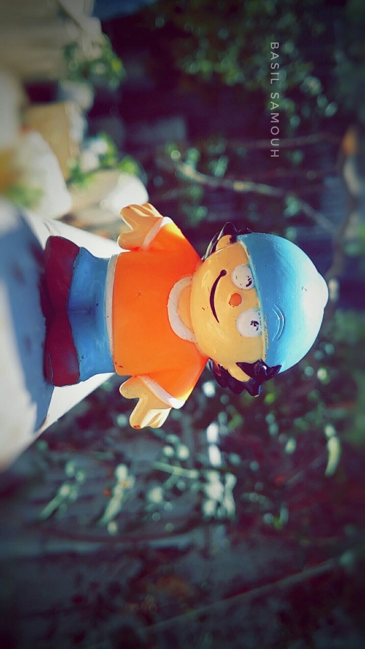toy