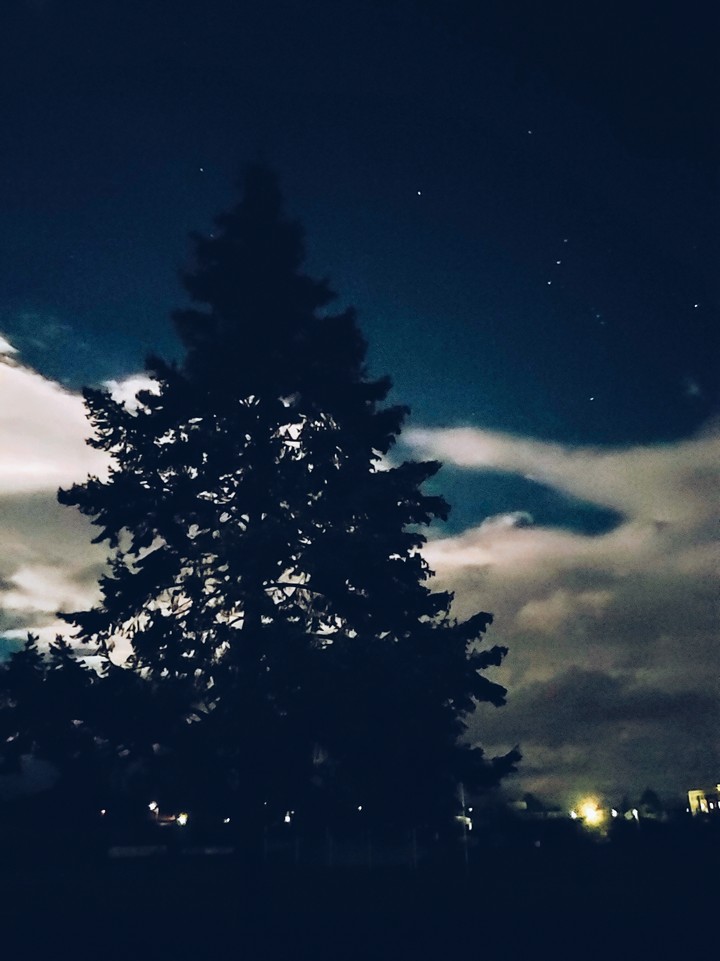 Orion