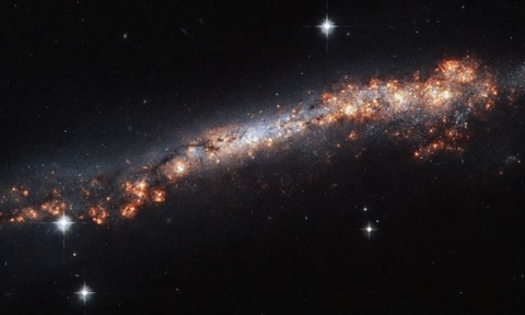 The tail of our galaxy