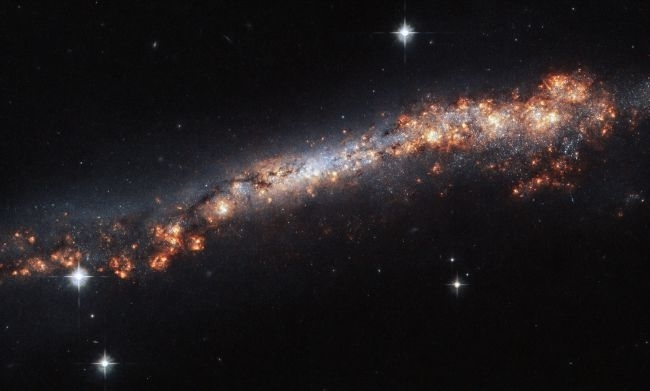The tail of our galaxy