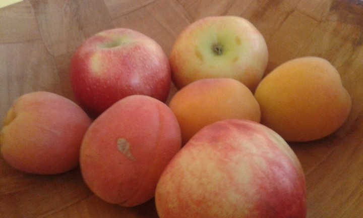 nature morte