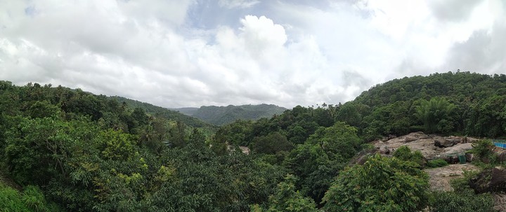Nature