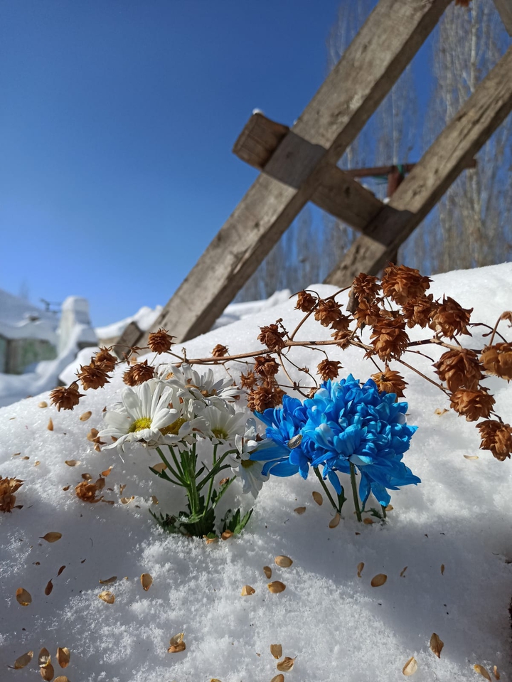 snowly