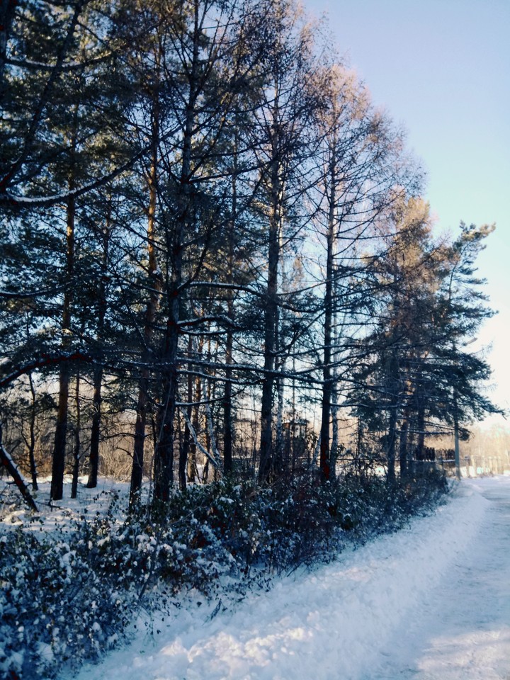 17.12.2017