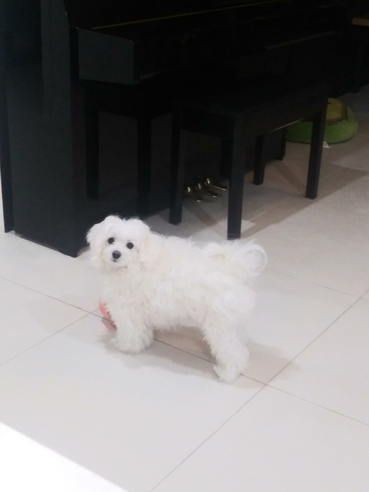 hi