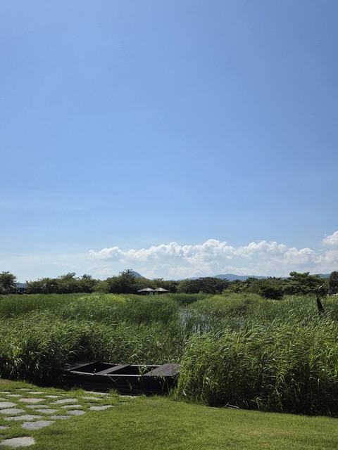 sfondi plain, grassland