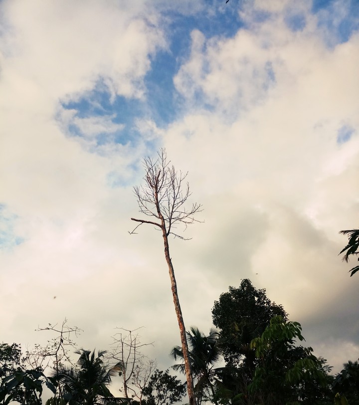 alone