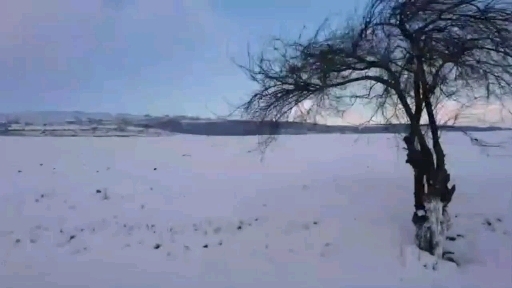 snow