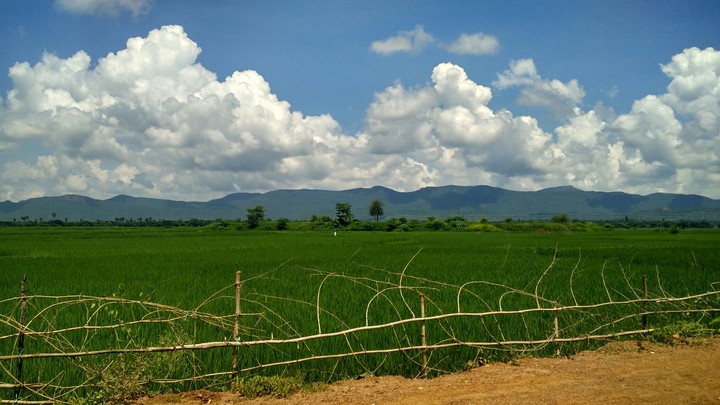 The clean weather...