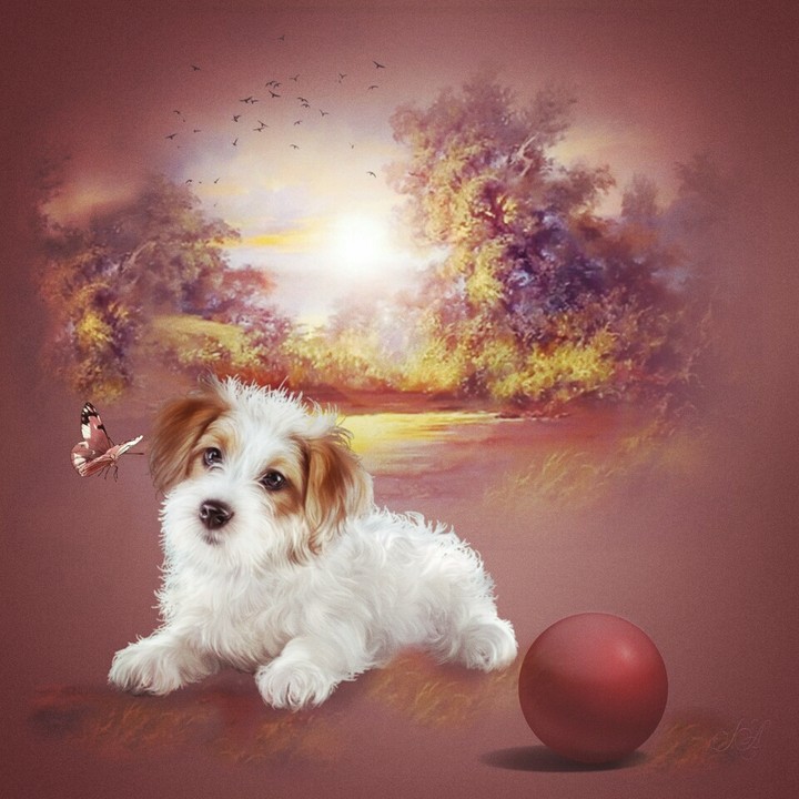 Dog