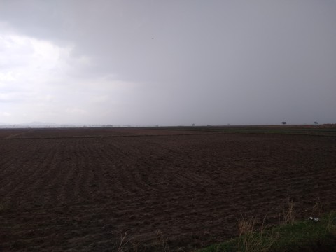 Rainy Half