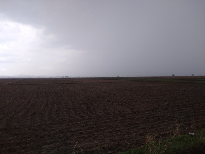 Rainy Half