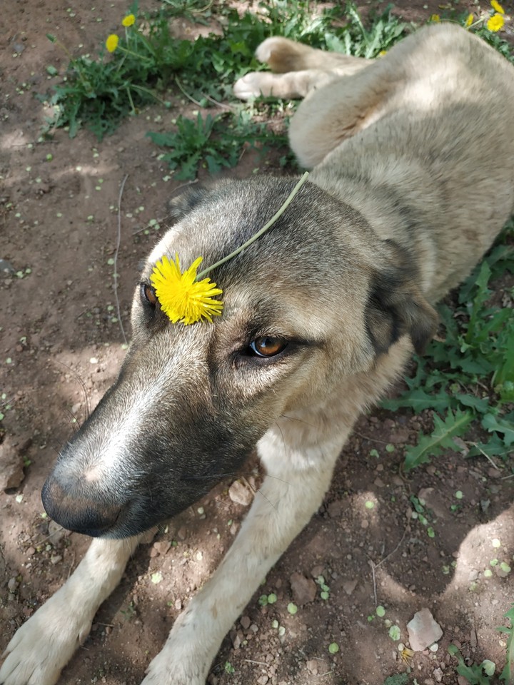 Зита
