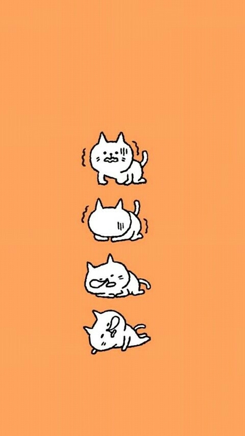 cat?