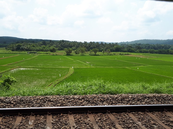 natural view