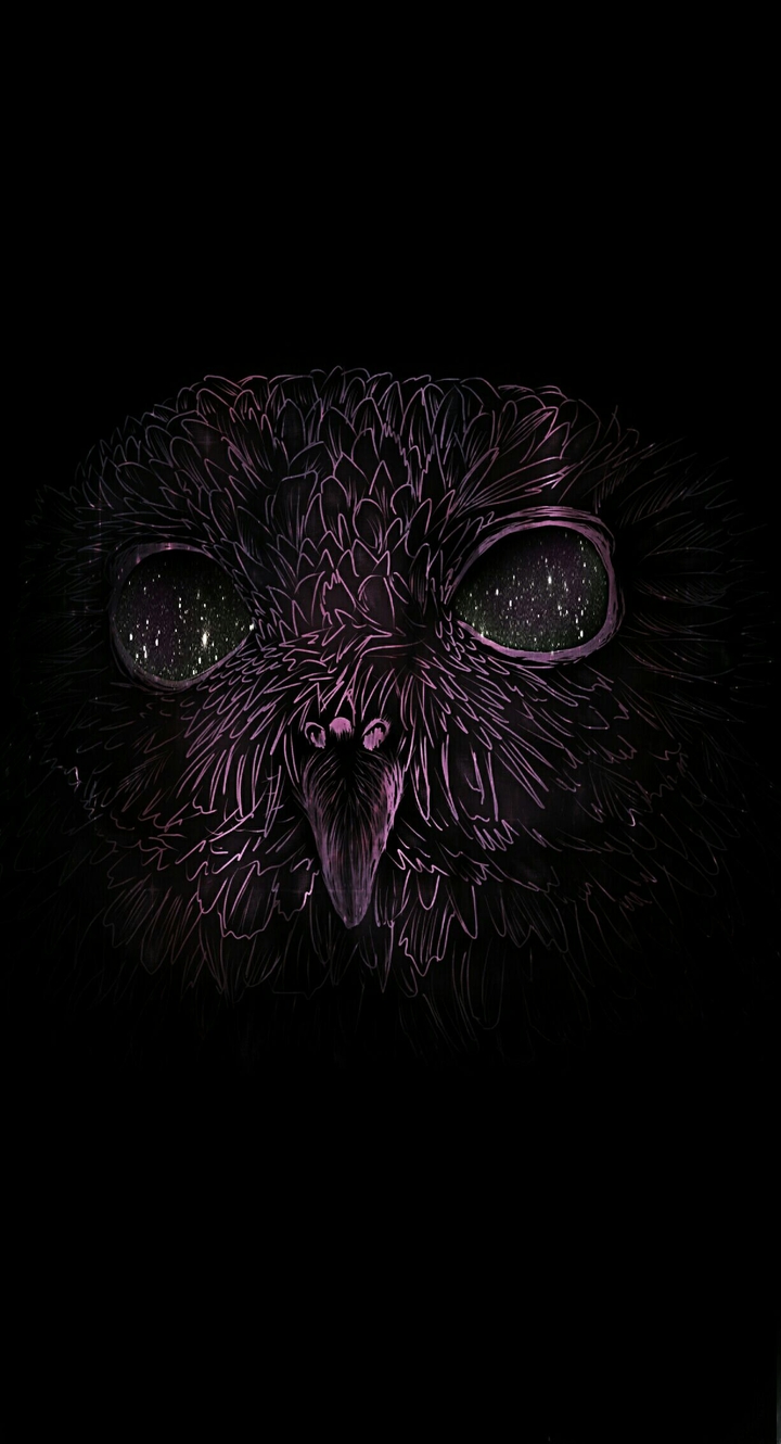 космическая сова