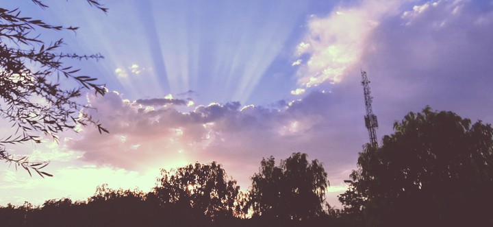 sunshine