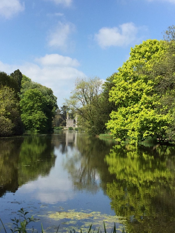 castle ireland