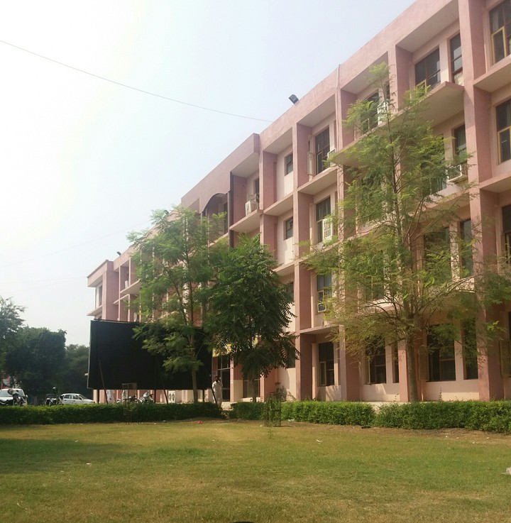 Building and beautiful tree