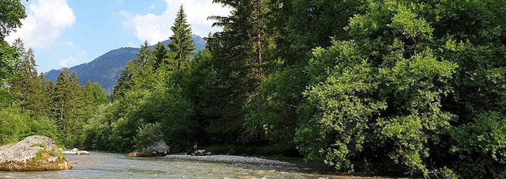 Nature