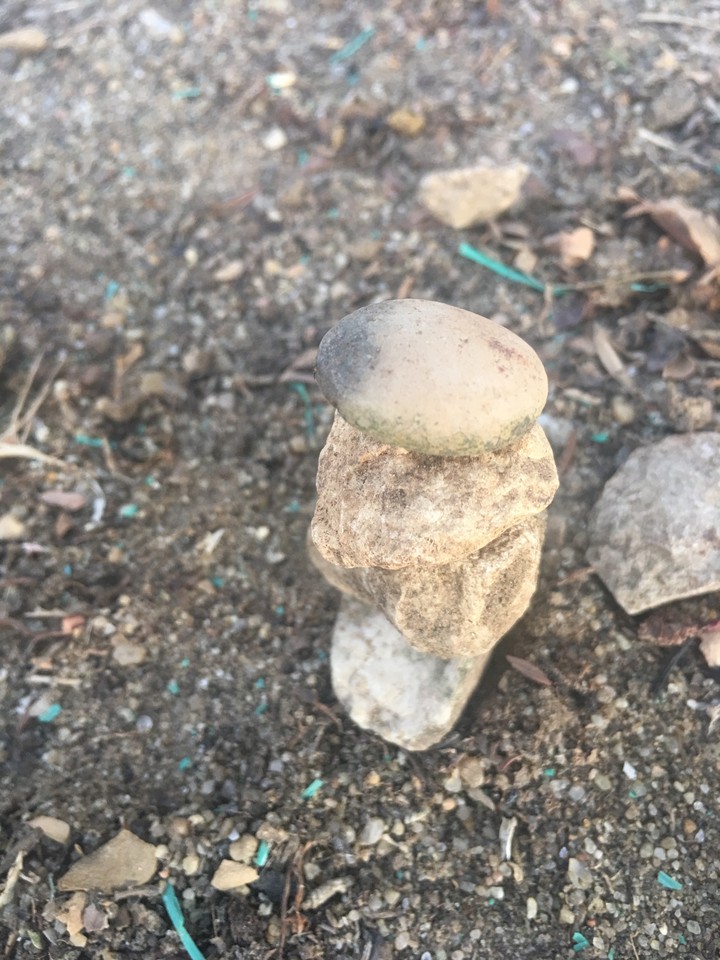 Rocks