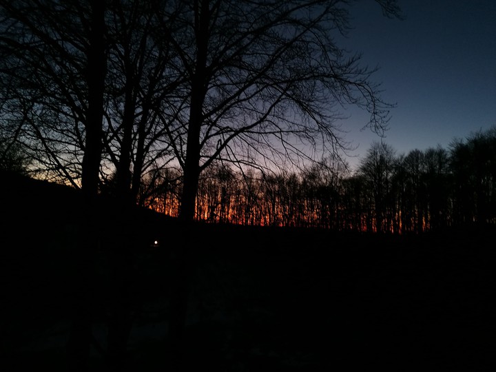 Natural Color