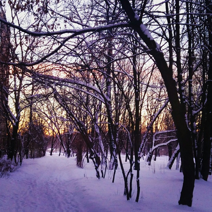 winter