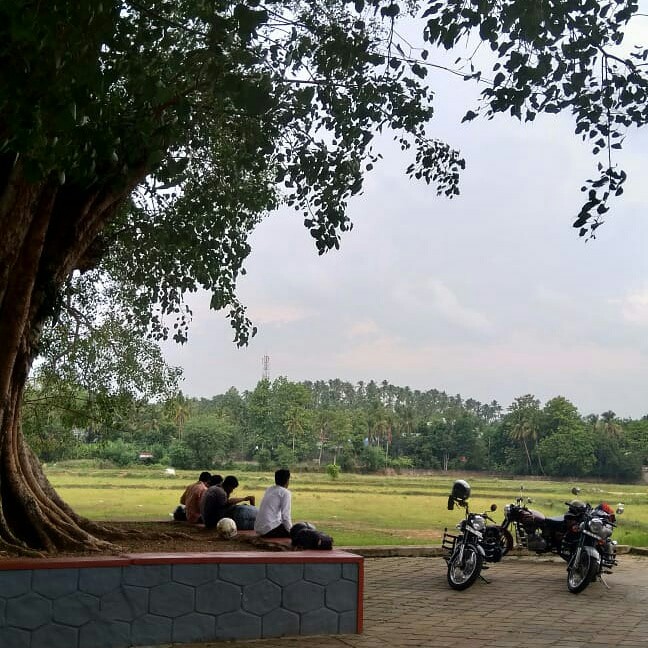 Under the tree
