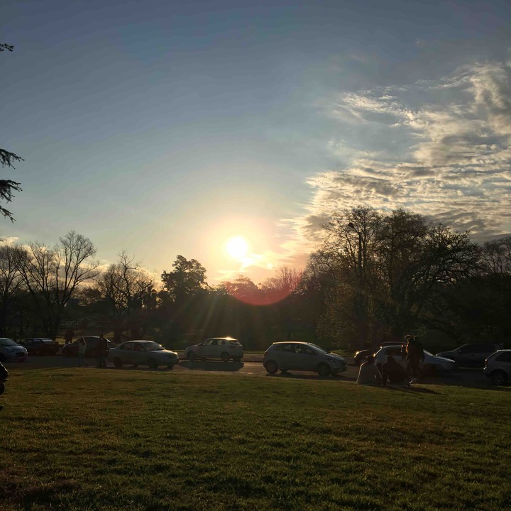 Green Sunset