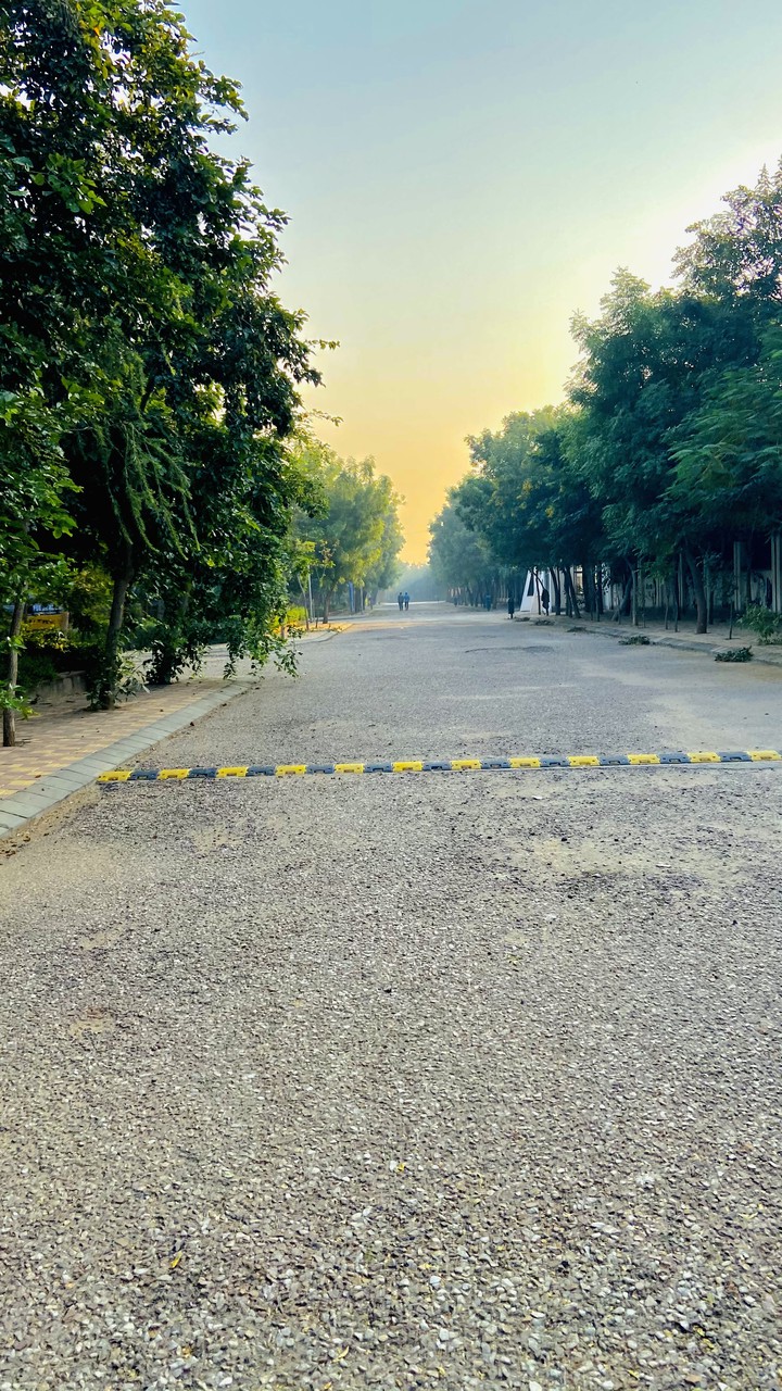 Early Morning Walk