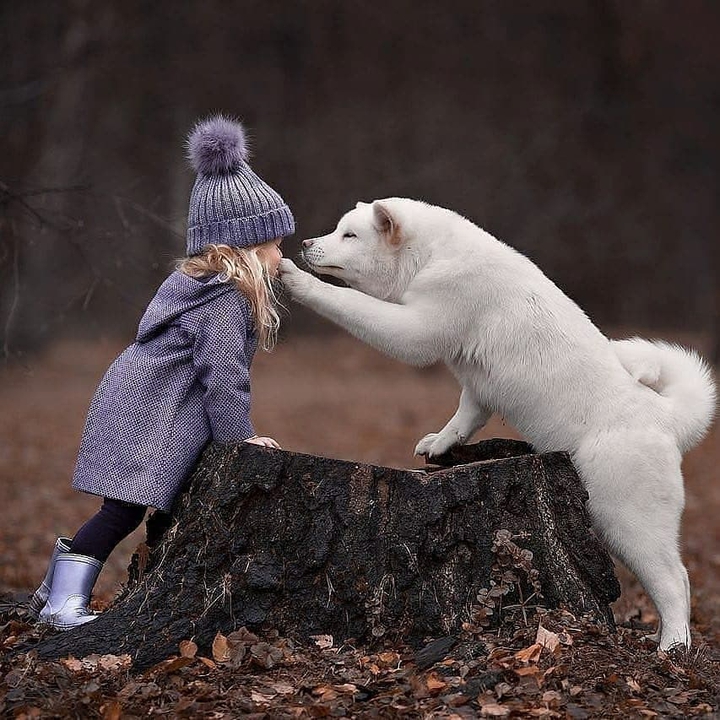 (Ɔ ˘⌣˘)♥฿Ɇ₴₮₩₳ⱠⱠ₱₳₱ɆⱤ♥(˘⌣˘ C)