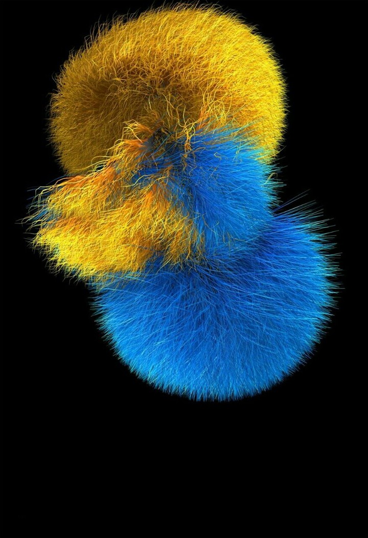pp