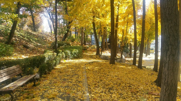 선유도(仙遊島) 공원 가는 길
