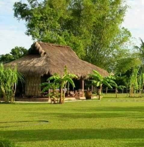căn nhà lý tưởng