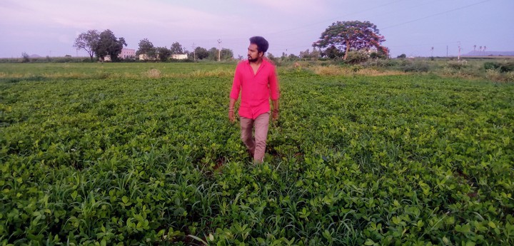 Jr Prabhas