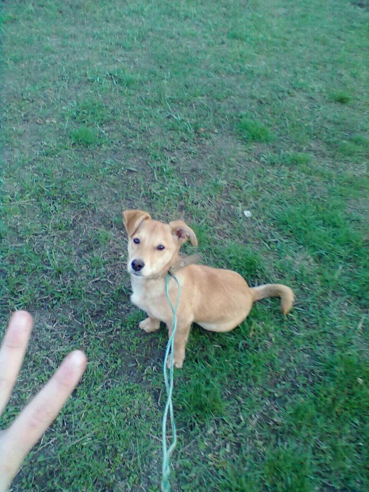 my dog! love!