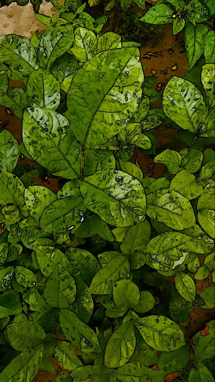 Green Leafs