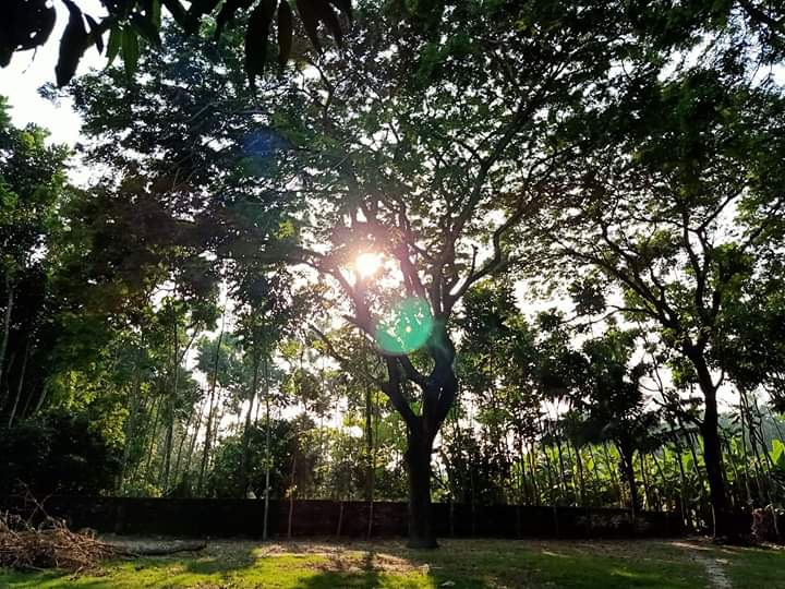 sunshine