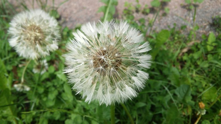 Beautiful
