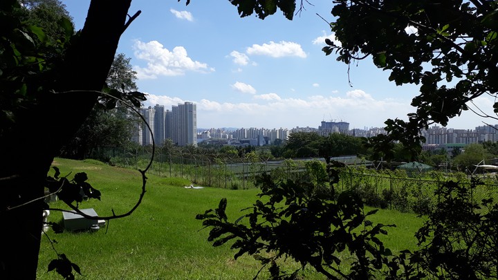 Hometown (Korean landscape)
